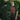 Graffiti Taketake Hāte Dark Green